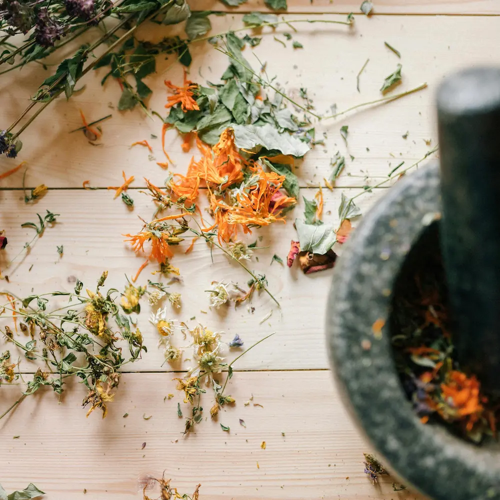 photo séchées que l'on écrase au pilon pour faire une potion ou tisane