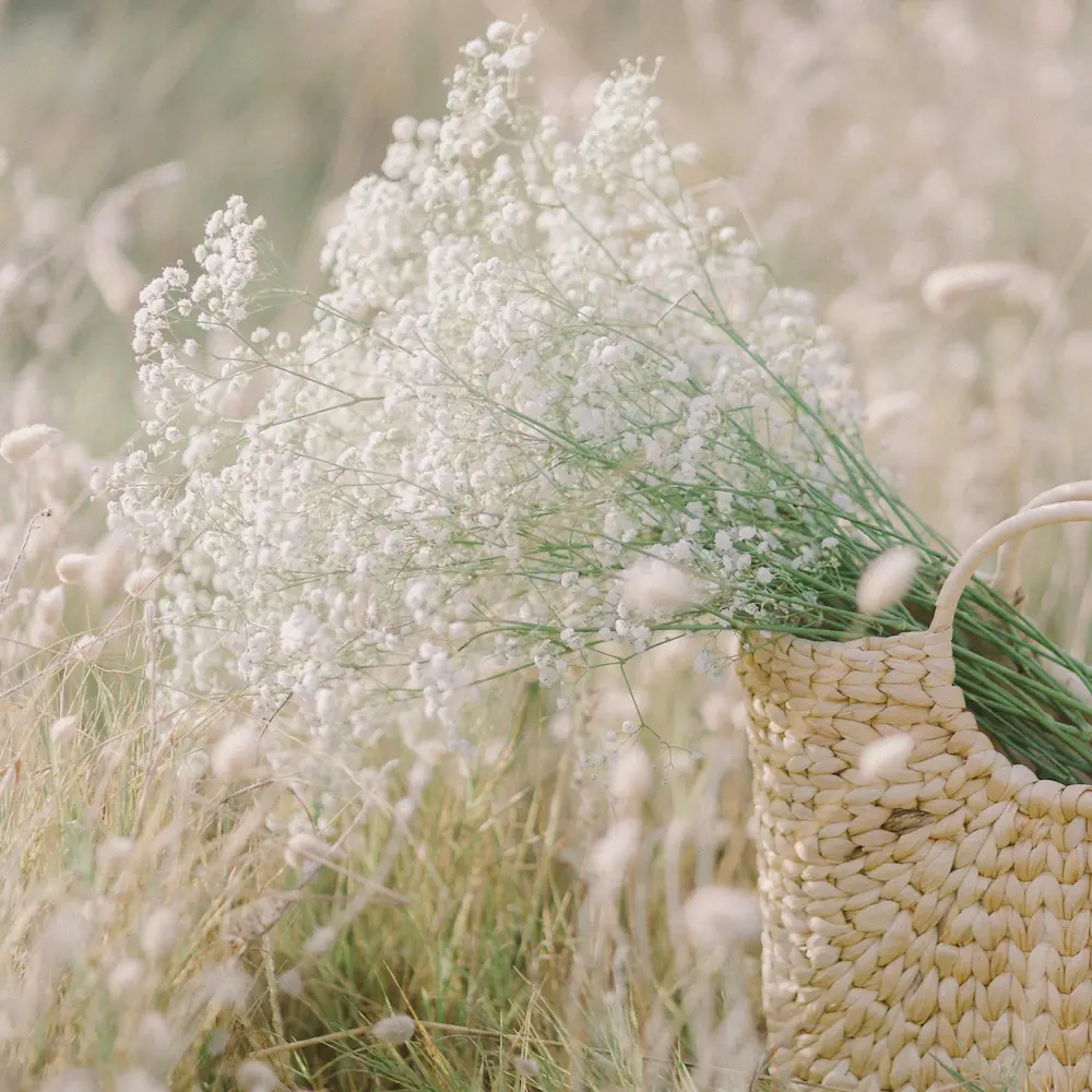photo d'un panier en osier dans un champ de graminées avec un bouquet sec dedans